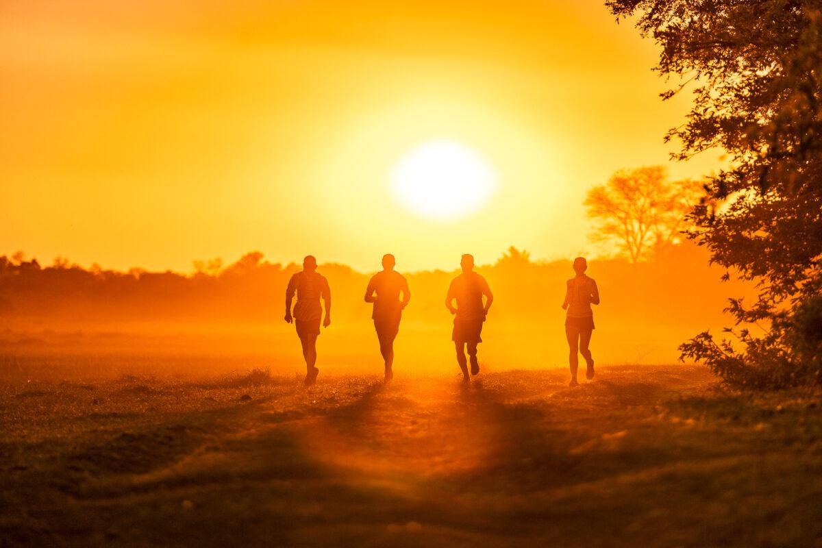 Tsodilo Ultra Trail