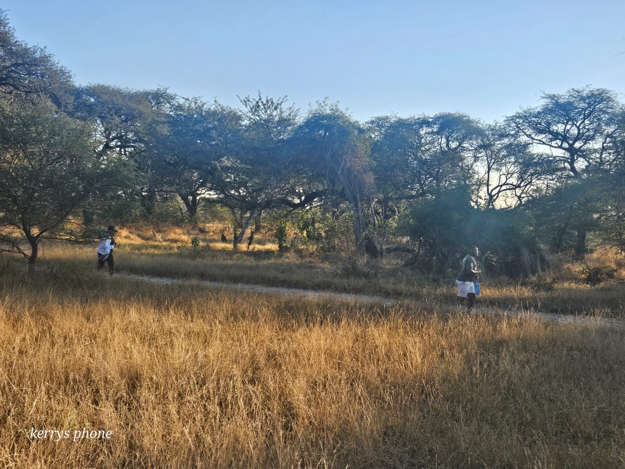 Trail Run at Sitatunga Camp